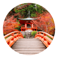 CKP-073-1804-Prize Inclusions_C