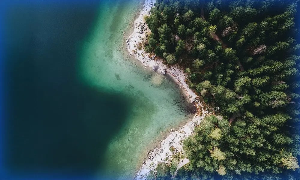 Aerial view of forest meeting clear turquoise water.