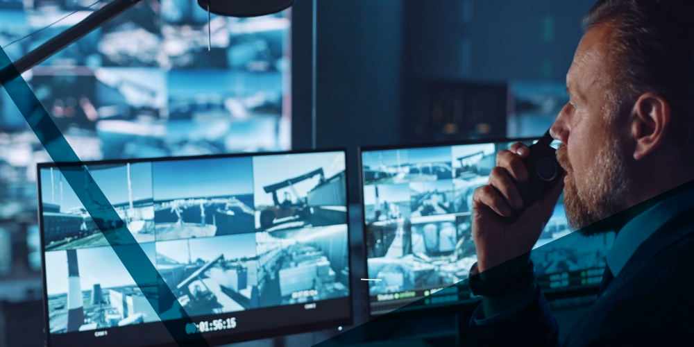 D-Link Wireless Surveillance & Security