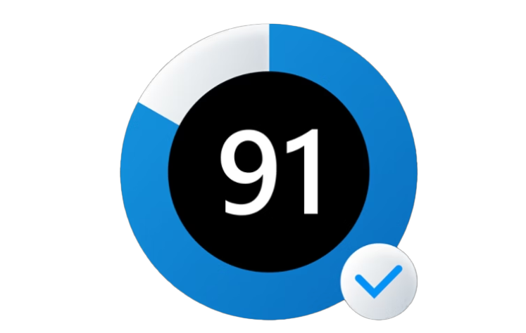 91-icon