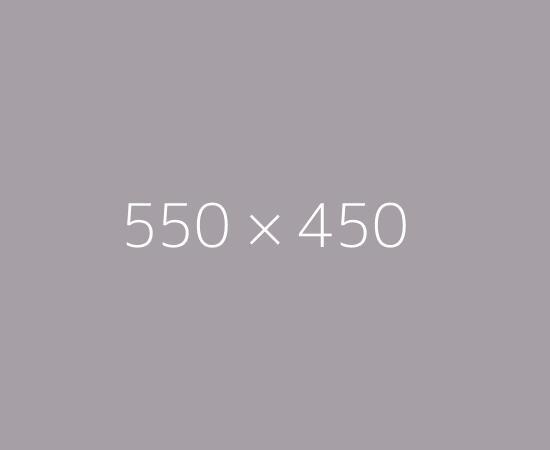 550x450