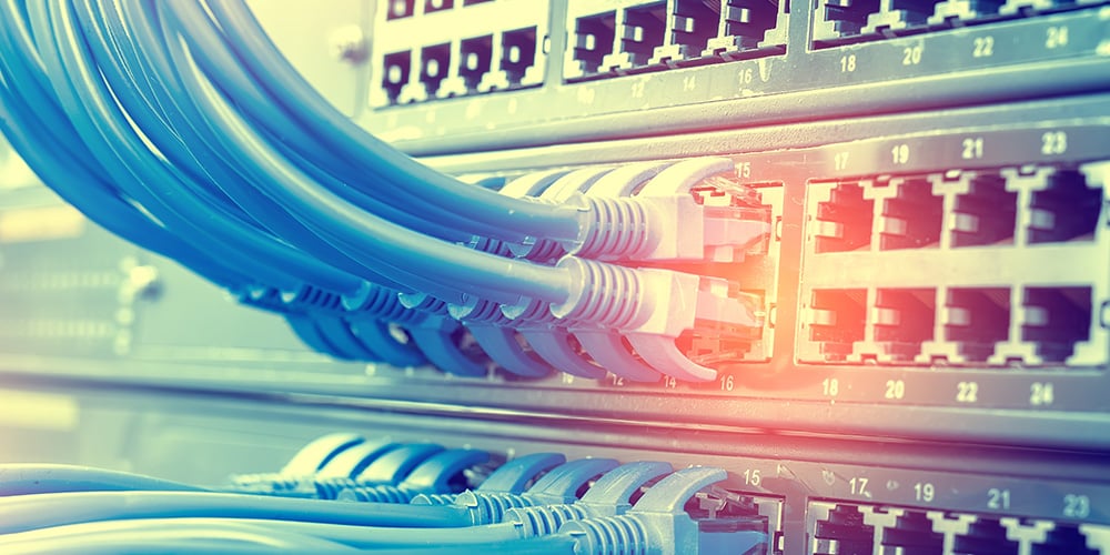 Ethernet cables plugged into a switchboard
