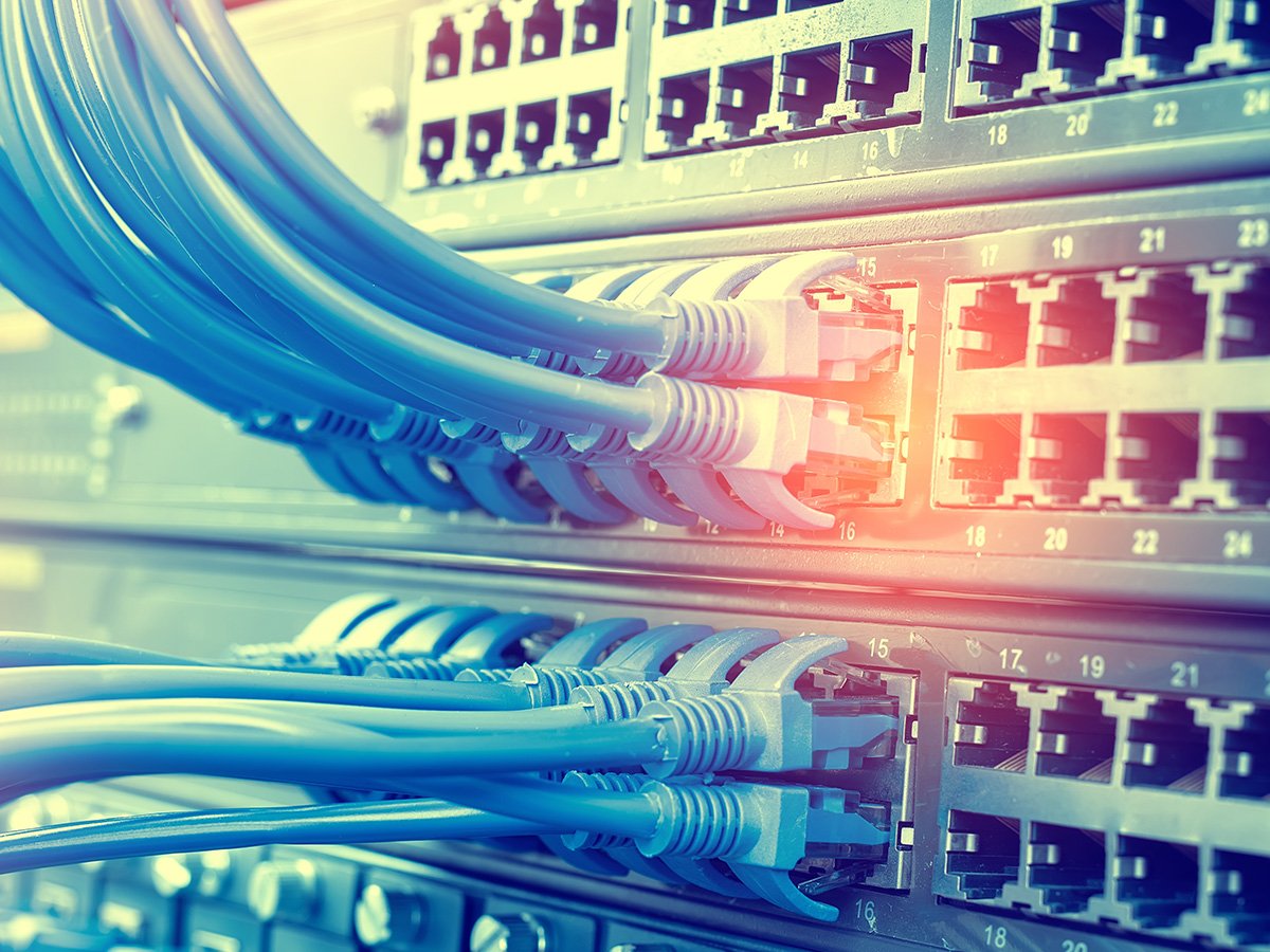 Ethernet cables plugged into a switchboard