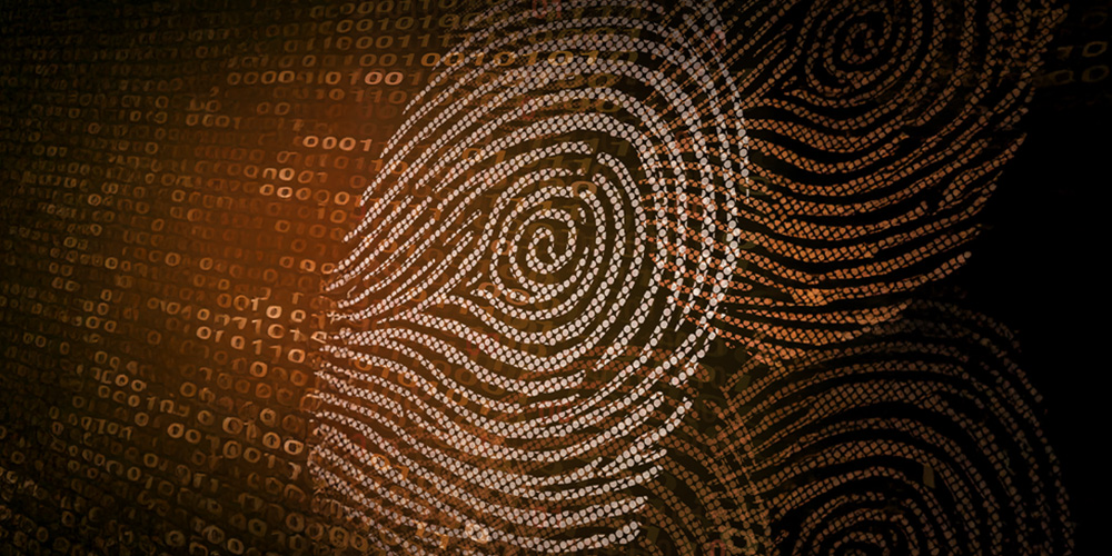 Abstract image of white fingerprints overlaid on a dark background filled with amber binary code, conveying themes of technology and identity.