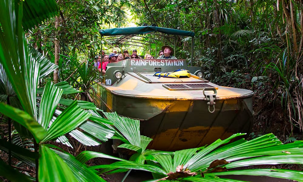 Rainforest boat tour with passengers surrounded by lush greenery.