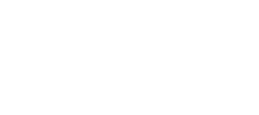 AUS-NTA-020 - NetApp PPB Page03- Herotxt