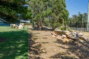 DSC00536-HDR