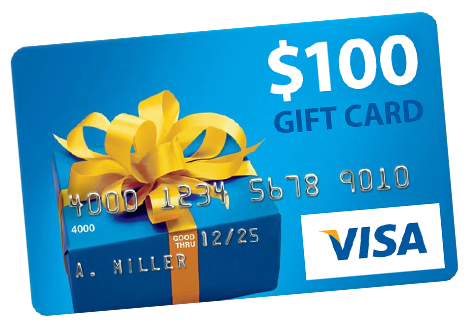 Visa-100