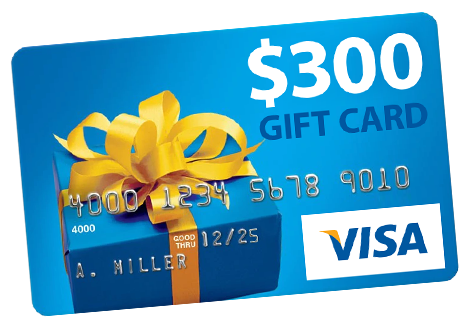 Visa-300