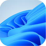 icon-windows11