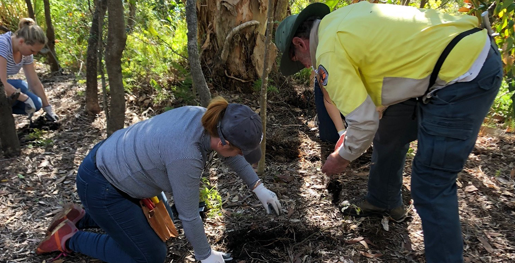 Westpac-Volunteer-planting2-adjusted